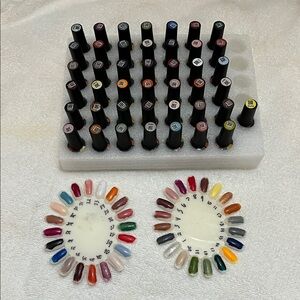 Assorted Nail Polish Set with Color Sample wheels